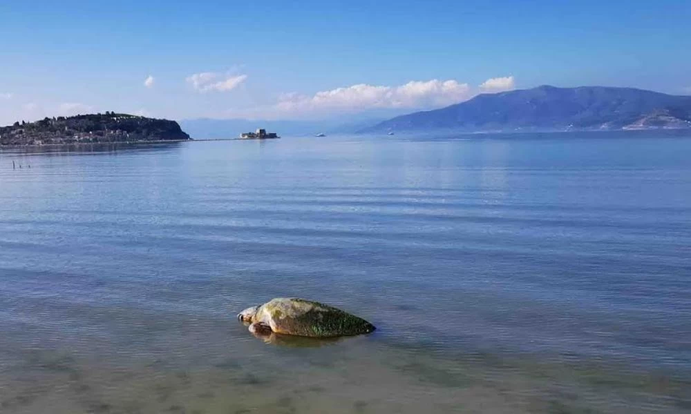 Ναύπλιο: Βγήκαν για περπάτημα στην παραλία και αυτό που είδαν τους σόκαρε